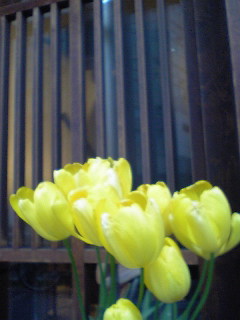 Flowers of Hope