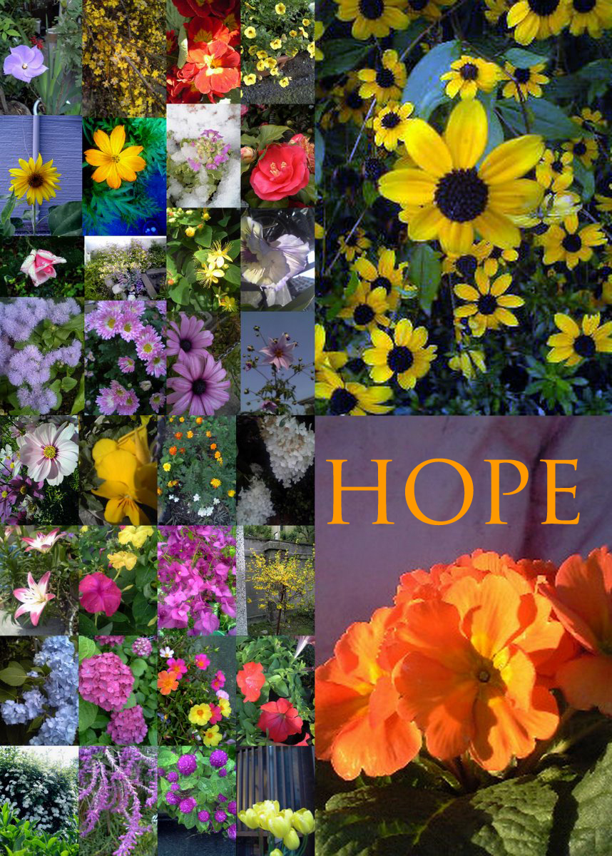 Flowers of Hope collage