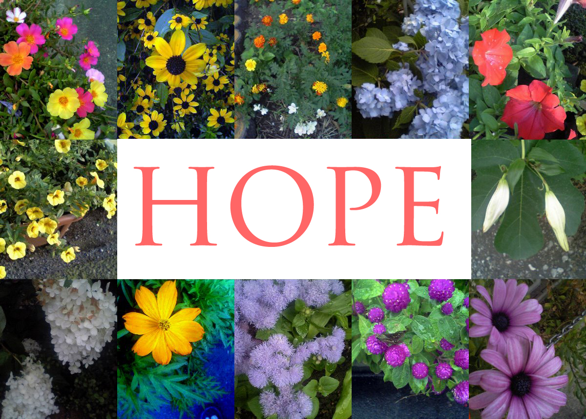 Flowers of Hope collage