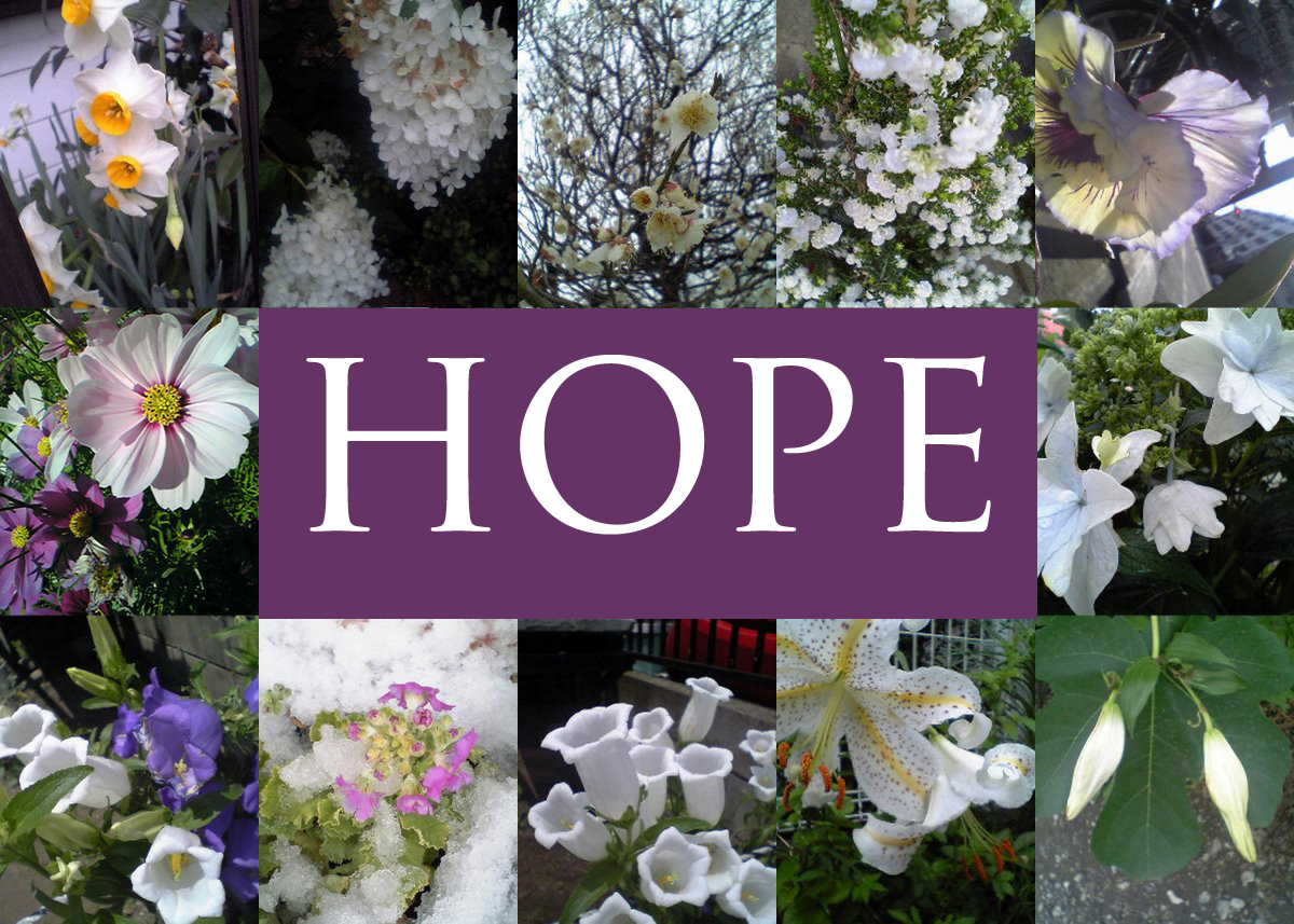 Flowers of Hope collage