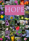 Flowers of Hope collage