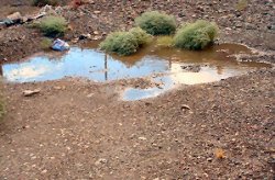 A puddle on a path